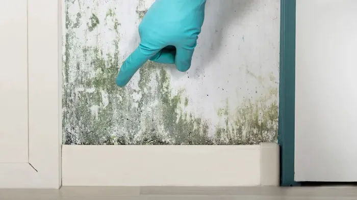 Emrick Services Picture 6