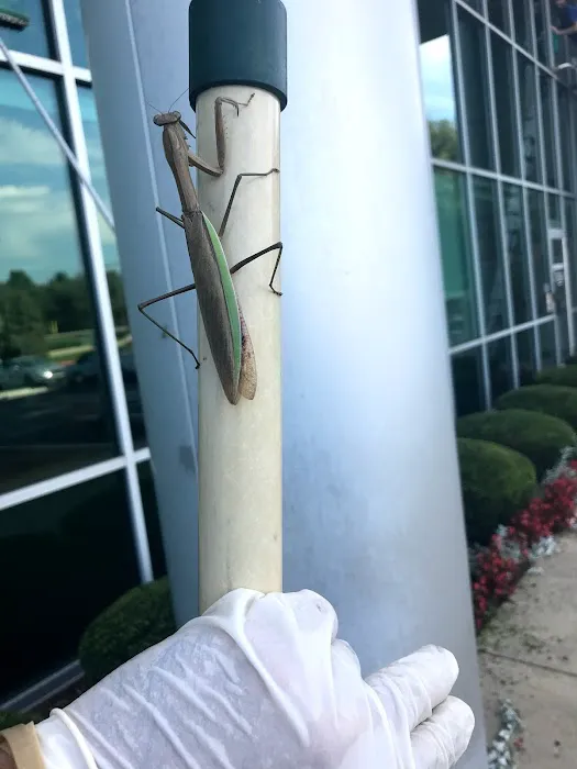 Technicare Home Pros Picture 8