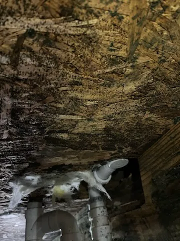 Best Option Restoration of East Louisville Picture 4