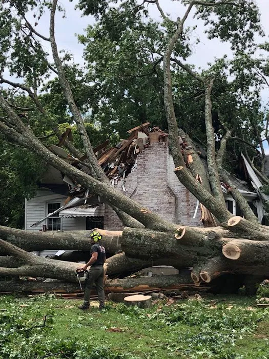 Purofirst Disaster Services Picture 2