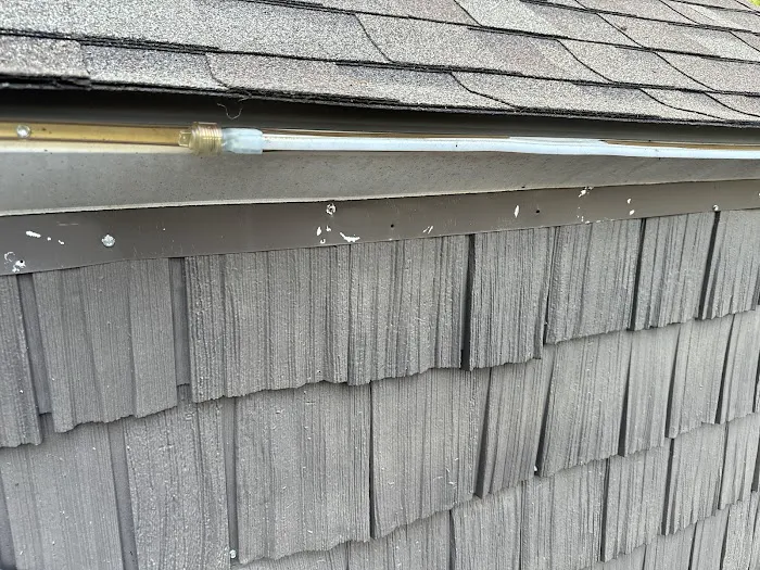 Orange Restoration Picture 4