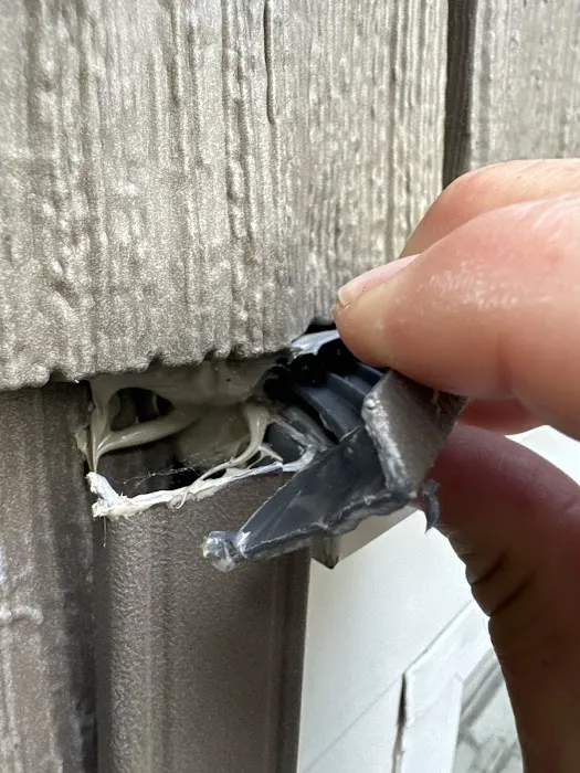 Orange Restoration Picture 3