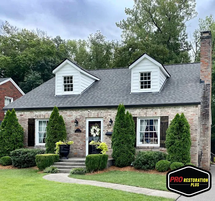 Pro Restoration Plus Picture 5