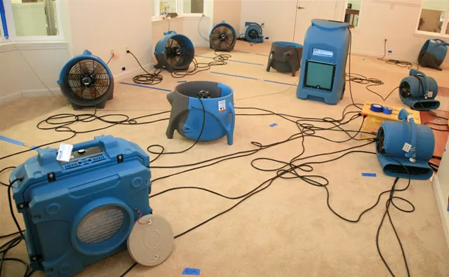 Louisville Carpet Cleaning & Flood Restoration Picture 3