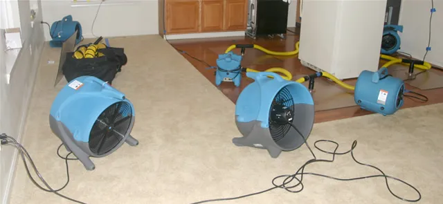 Louisville Carpet Cleaning & Flood Restoration Picture 6