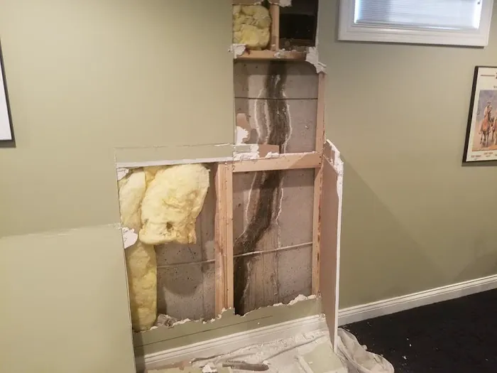 PermaJack of Louisville Picture 10