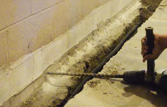 PermaJack of Louisville Picture 2