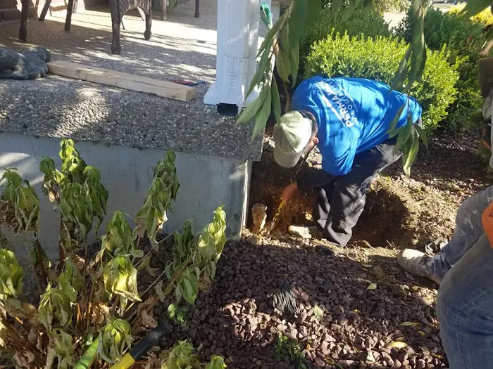 PermaJack of Louisville Picture 8