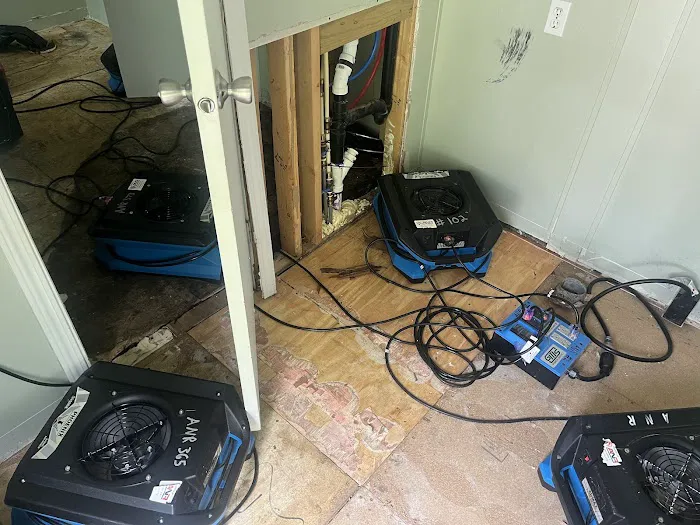 ANR Restoration Picture 8