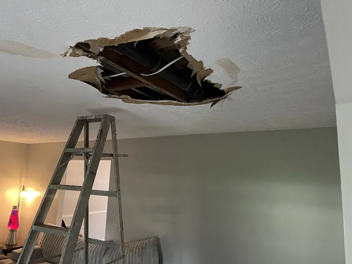 ANR Restoration Picture 6