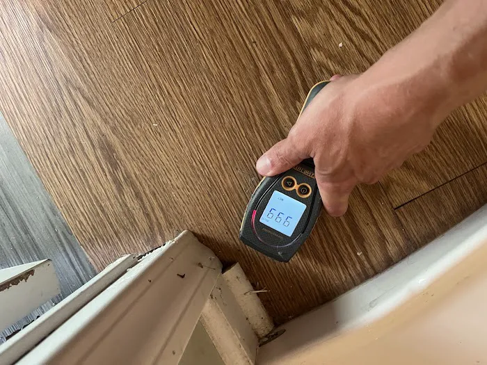 ANR Restoration Picture 10