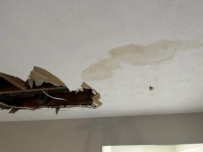 ANR Restoration Picture 3