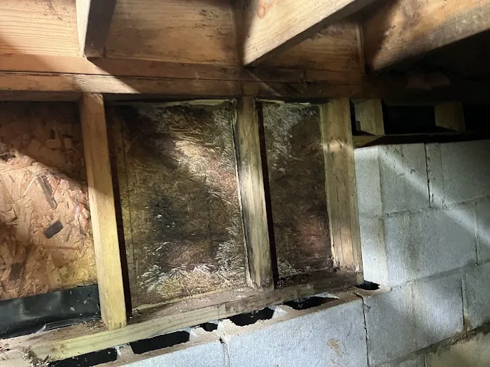 ANR Restoration Picture 2