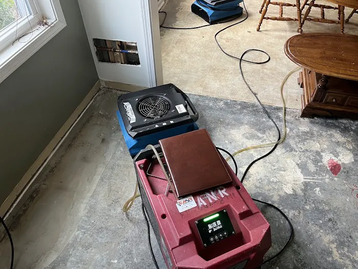 ANR Restoration Picture 1