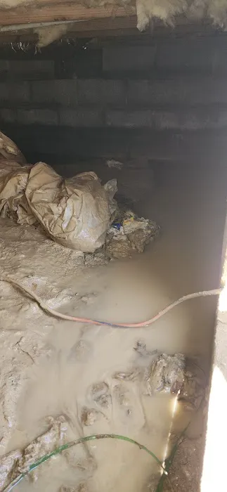 Lionel Water Proofing Picture 9