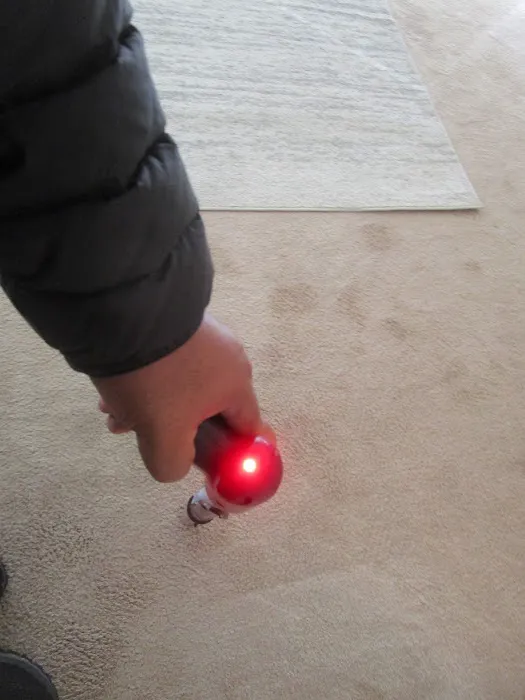 Best Quality Restoration Picture 1