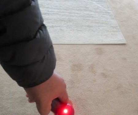 Best Quality Restoration