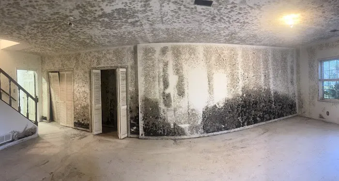 Rescue Restoration Picture 8