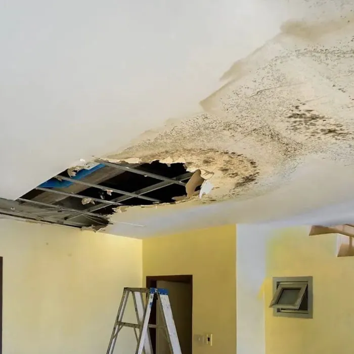 ASAP Water Damage Restoration Los Angeles Picture 1