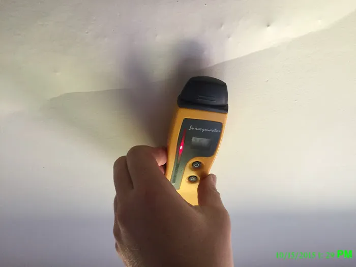 Mold & Water Specialists NJ Picture 5