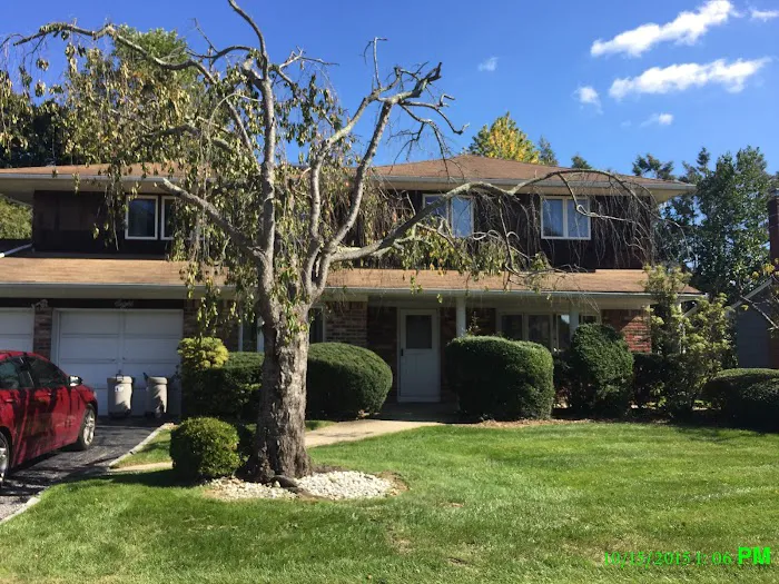 Mold & Water Specialists NJ Picture 4