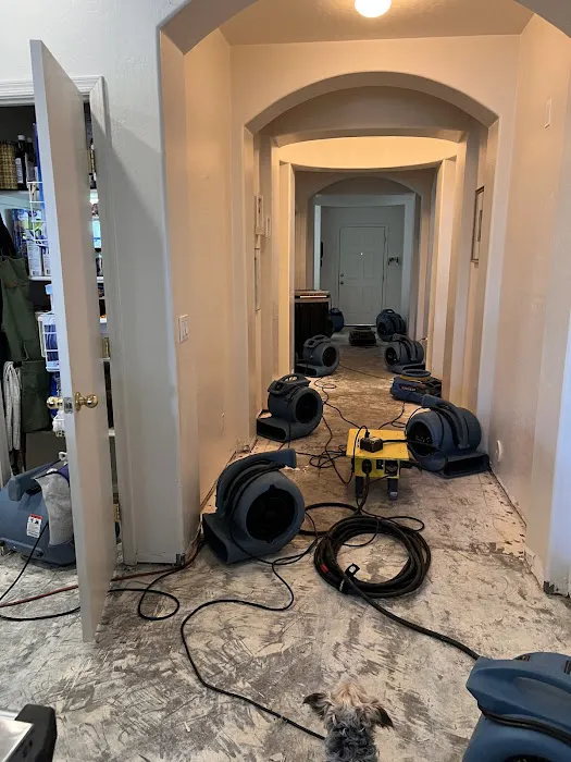 Silverton Restoration and Contracting Inc Picture 10