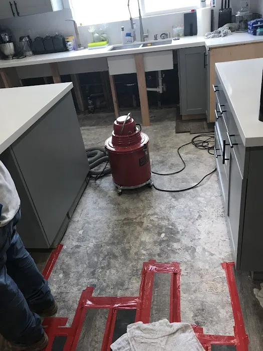 Octopus Restoration Picture 4