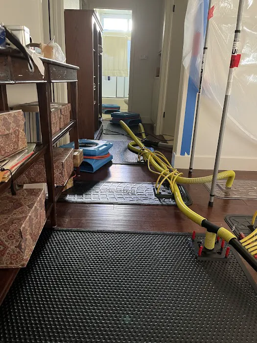 Octopus Restoration Picture 10