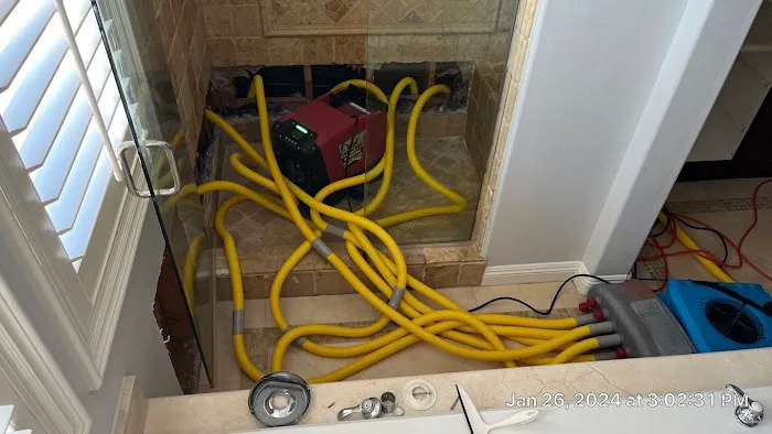 Octopus Restoration Picture 5