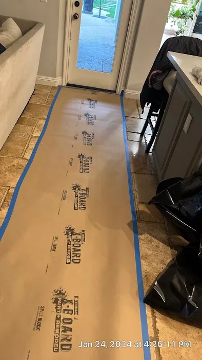 Octopus Restoration Picture 7