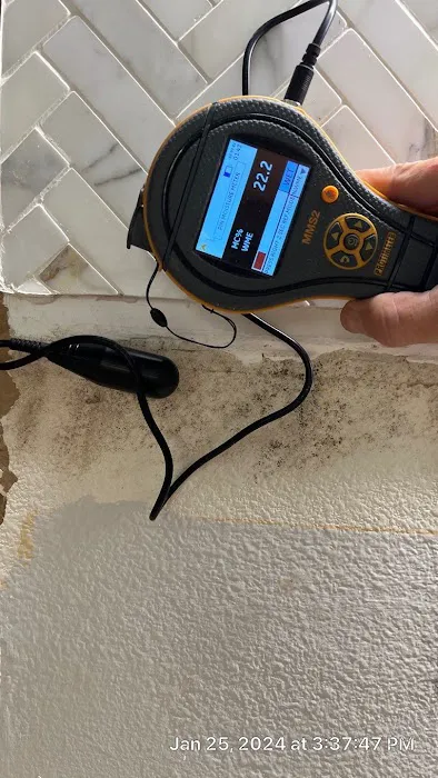 Octopus Restoration Picture 6