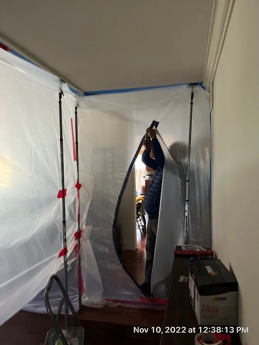 Octopus Restoration Picture 2