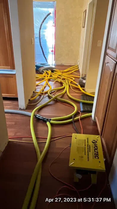 Octopus Restoration Picture 1