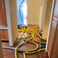 Octopus Restoration ico