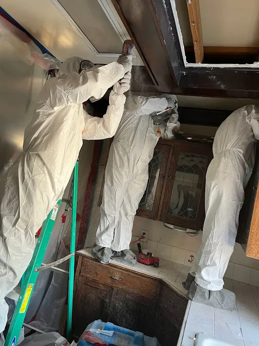 Octopus Restoration Picture 3