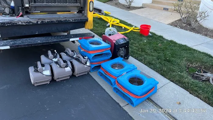 Octopus Restoration Picture 8