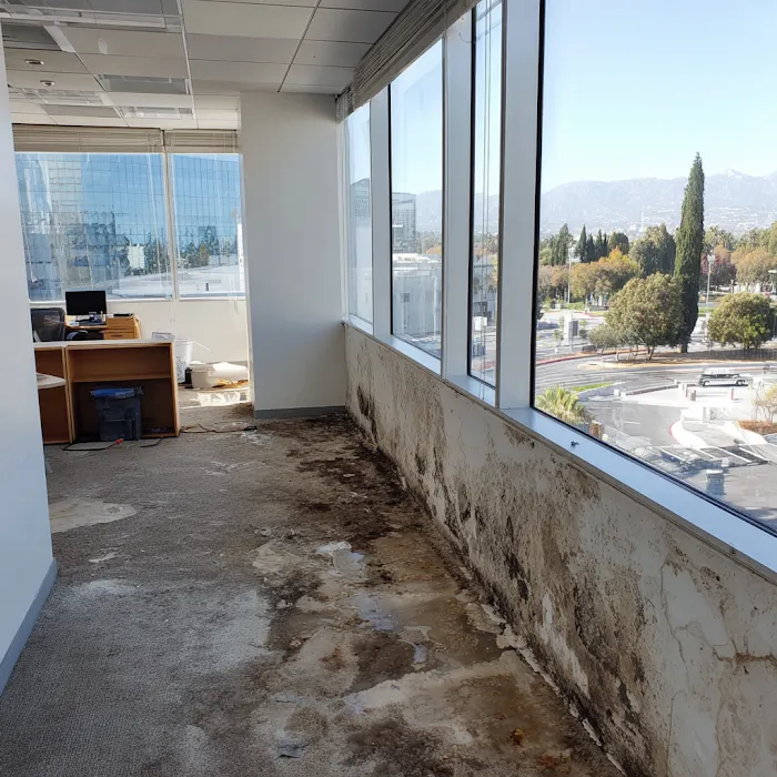 Mold Remediation & Inspection King Picture 3