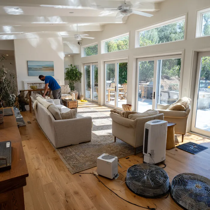 Mold Remediation & Inspection King Picture 6