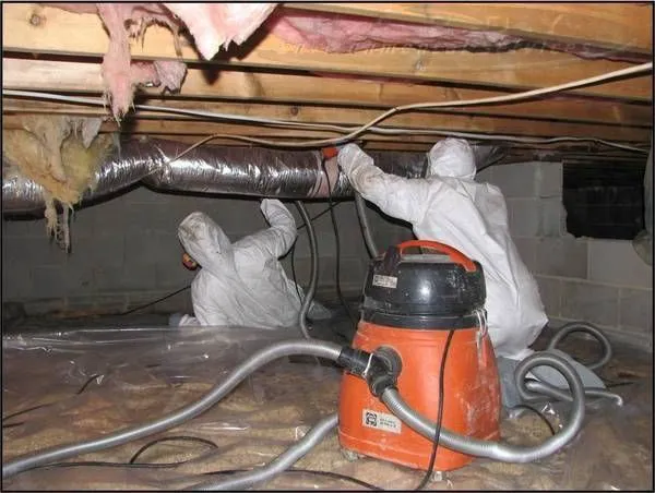 Titan Restoration Services Picture 3