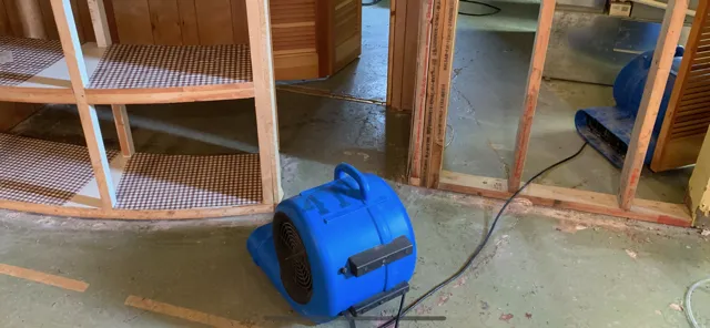 Royal Touch Restoration LLC Picture 8