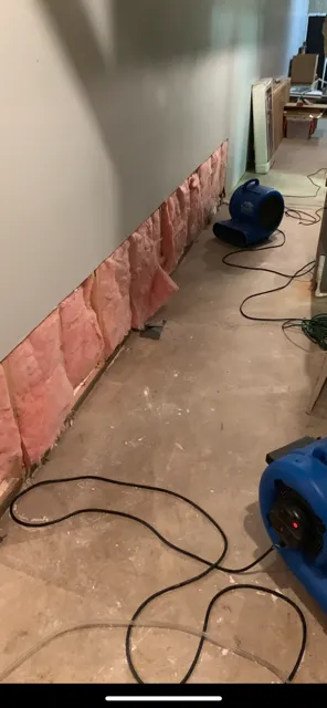 Royal Touch Restoration LLC Picture 7