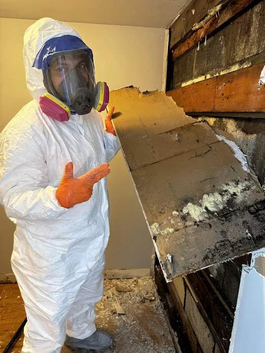 Disaster Restoration Services Picture 10