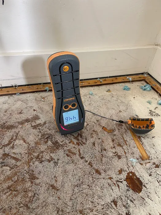 SteamMaster Restoration and Cleaning Picture 3