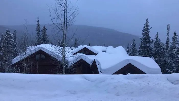 Exclusive Cleaning and Restoration Picture 9