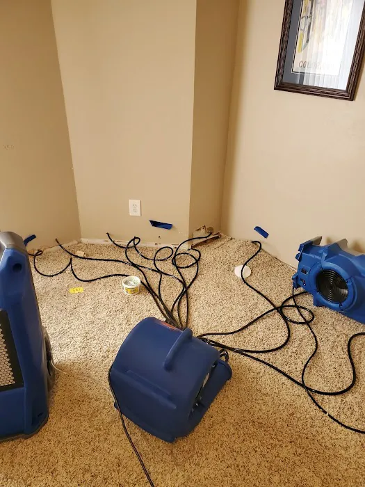 Complete Extraction & Restoration Picture 10