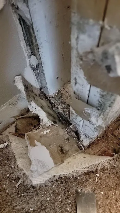 Complete Extraction & Restoration Picture 9