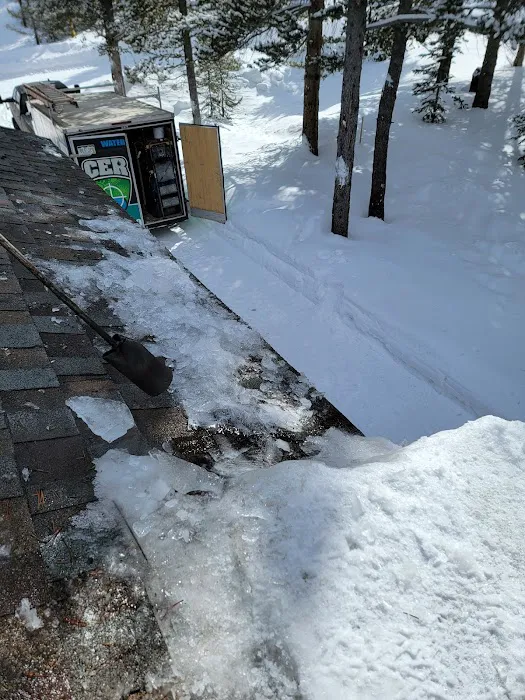 Complete Extraction & Restoration Picture 6