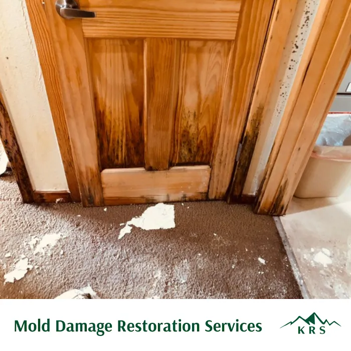 Kinder Restoration Services Picture 5