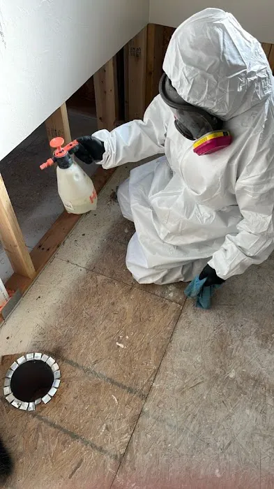 Paul Davis Restoration of the Mountain Resorts, CO Picture 5