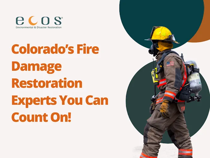 ECOS Environmental & Disaster Restoration, Inc. Picture 8